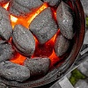 Брикеты из древесного угля ГлавЖар PRO Классика, 10 кг (подушечка)